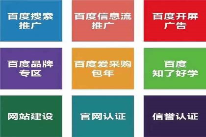 某行业巨头背后的SEM代运营服务公司